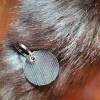 Schlüsselanhänger Hundepfote (SA6) Lasergravur Bild 3