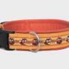 Hundehalsband »Fuchs« mit echtem Leder unterlegt aus der Halsbandmanufaktur von dogs & paw Bild 2