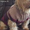 Pullover in Purpur Fuchsia Taupe für kleine Hunde Colorblocking Zopfmuster- Pulli Tunika Bild 1