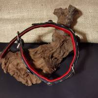 Vollleder Hundehalsband mit Concha und Nieten (HH 13) Bild 6
