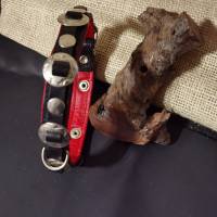 Vollleder Hundehalsband mit Concha und Nieten (HH 13) Bild 9