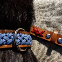 Hundehalsband mit Flechtung (HH 16) Bild 3