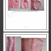 Petticoatkleid & Tellerrock Zeraphine: Schnittmuster + Bild-Nähanleitung Gr.34-48 (eBook) Bild 2