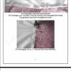 Schnittmuster + Bildnähanleitung Gr.34-54 (eBook)Petticoatkleid & Bolero-Jäckchen Morgana: Bild 2