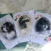 Postkarten / Grußkarten Set mit tollen Damen-Vintage Motiven & romantischen Rosen Bild 5