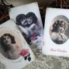 Schönes 5-er Postkarten / Grußkarten Set mit wunderschönen, alten Vintage Motiven Bild 2