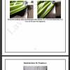 Pumphose, Kinderhose Mila: Schnittmuster + Bildnähanleitung Gr. 56-176 (eBook) Bild 2