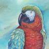 Acrylgemälde "Stolzer Papagei" - Kunst Bild Original Gemalt Acryl Leinwand 60cmx60cm Bild 2