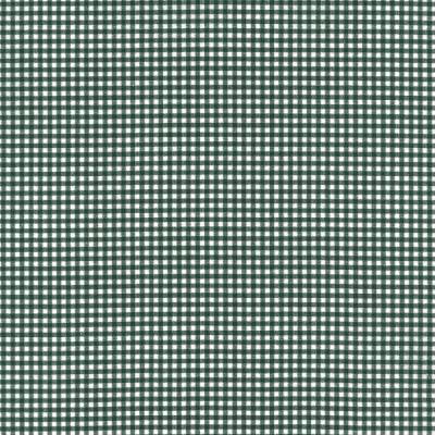 Westfalenstoffe Singapur grün weiß kariert 100% Baumwolle Webware Webstoff 25cm x 150cm