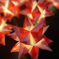 Origami Bastelset Bascetta 10 Sterne transparent/rot 4,5 cm x 4,5 cm Bild 5
