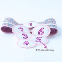 Geburtstagskrone für Kinder, Kinderkrone Blumenwiese, Stoffkrone mit austauschbaren Zahlen 1-6 Jahre mit Tasche Bild 6
