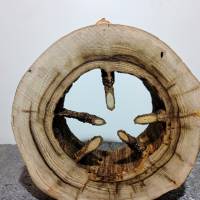 Holzring zum Basteln und Dekorieren aus Fichtenholz naturgewachsen Unbearbeitet Bild 2