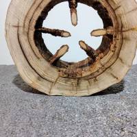 Holzring zum Basteln und Dekorieren aus Fichtenholz naturgewachsen Unbearbeitet Bild 3