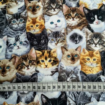 Patchwork Katzenstoff in braun, schwarz..... aus Baumwolle zum Nähen und Patchwork