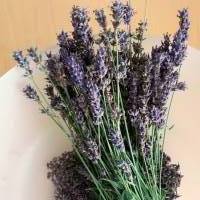 Lavendel Spitztüte aus Leinen antik gefüllt mit frischem Lavendel aus dem Garten Vintage Bauernleinen Bild 4