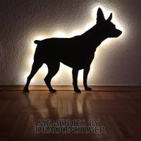 Haustier Nachtlicht GR.M Schattenlampe Erinnerung Gedenklicht Originalgröße Handarbeit beleuchtet ;Tierportr& Bild 5