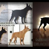 Haustier Nachtlicht GR.M Schattenlampe Erinnerung Gedenklicht Originalgröße Handarbeit beleuchtet ;Tierportr& Bild 6