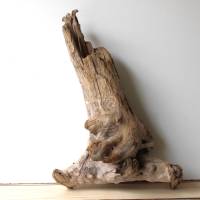 Treibholz Schwemmholz Driftwood  1  knorrige XXL  Skulptur   Dekoration  Garten  Terrarium Weihnachten 65 cm Bild 1