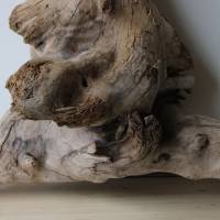 Treibholz Schwemmholz Driftwood  1  knorrige XXL  Skulptur   Dekoration  Garten  Terrarium Weihnachten 65 cm Bild 3