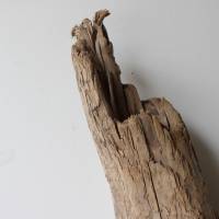 Treibholz Schwemmholz Driftwood  1  knorrige XXL  Skulptur   Dekoration  Garten  Terrarium Weihnachten 65 cm Bild 4