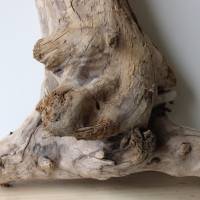 Treibholz Schwemmholz Driftwood  1  knorrige XXL  Skulptur   Dekoration  Garten  Terrarium Weihnachten 65 cm Bild 5