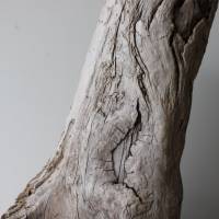 Treibholz Schwemmholz Driftwood  1  knorrige XXL  Skulptur   Dekoration  Garten  Terrarium Weihnachten 65 cm Bild 7