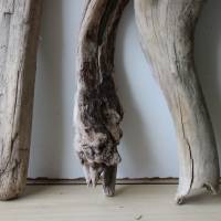 Treibholz Schwemmholz Driftwood  6   Hölzer  Dekoration  Garten  Lampe   Terrarium 39 cm - 42 cm  **E10** Bild 4