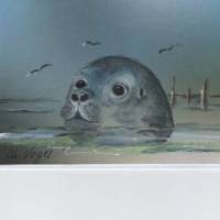 Grußkarte, Urlaubsgruß,   Tiermalerei-    Seehund  - handgemalt Bild 1