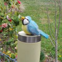 Blaumeise handgefilzt als Wohn- und Gartendekoration, Geschenk für Vogelliebhaber, Vogelfreunde, Vogelfigur Figur Filz Bild 1