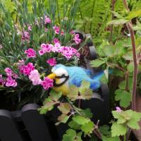 Blaumeise handgefilzt als Wohn- und Gartendekoration, Geschenk für Vogelliebhaber, Vogelfreunde, Vogelfigur Figur Filz Bild 4