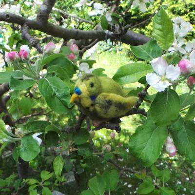 Paradiesvogel handgefilzt als Wohn- und Gartendekoration, Geschenk für Vogelliebhaber, Vogelfreunde, Vogelfigur Fig