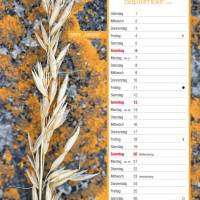 Wandbildkalender 
