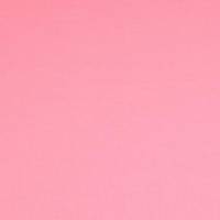 Jersey Baumwolljersey UNI Einfarbig rosa Oeko-Tex Standard 100 (1m/11,-€) Bild 2