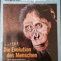Zeitschrift GEO kompakt Nr. 4 Die Evolution des Menschen, Die Grundlagen des Wissens, Bild 1