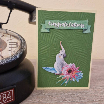 Geburtstagskarte / Papagei / Wald / Papagei Geburtstagsmotiv / Geburtstagskarte mit Papagei / Papagei Geburtstagskarte