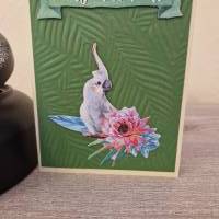 Geburtstagskarte / Papagei / Wald / Papagei Geburtstagsmotiv / Geburtstagskarte mit Papagei / Papagei Geburtstagskarte Bild 4
