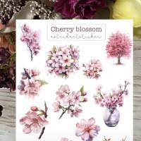 Cherry Blossom Bild 1