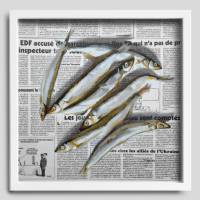Sardinen Gemälde auf Zeitung Originalkunst, Fisch Malerei, Wanddekor für Küche Bild 2