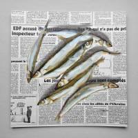Sardinen Gemälde auf Zeitung Originalkunst, Fisch Malerei, Wanddekor für Küche Bild 3