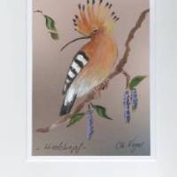 Grußkarte,   Vogelporträt, Sammelkarte-   Wiedehopf  -  handgemalt Bild 1