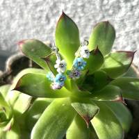 Süße „Daisy“ Ohrringe mit kleinen bunten Blümchen aus Rocaillesperlen Bild 3