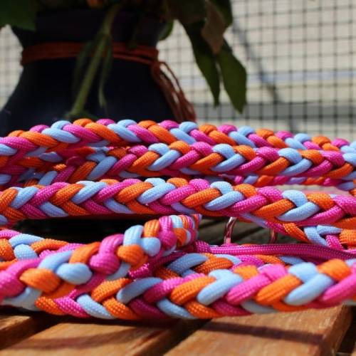 Leine aus Paracord // geflochten // Sommer-Edition // für kleinere und mittlere Hunde