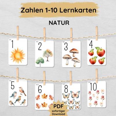 Natur Zahlenkarten 1-10 für Kinder zum Ausdrucken, Zahlen lernen