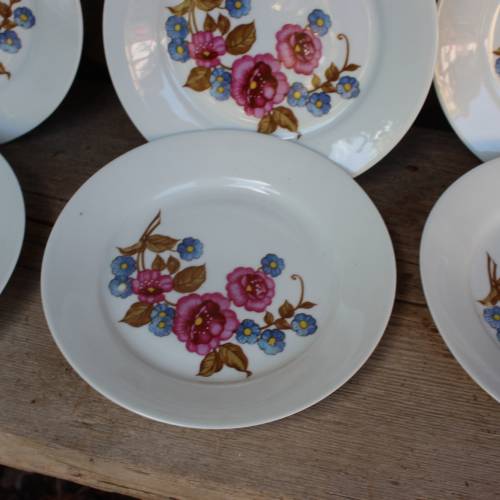 6er Set Kuchenteller Dessertteller Blumendekor Colditz Porzellan 70er Jahre DDR 