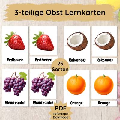 25 Obst Lernkarten für Kinder, dreiteilige Foto Bildkarten Obstsorten zum Lernen und Lesen üben