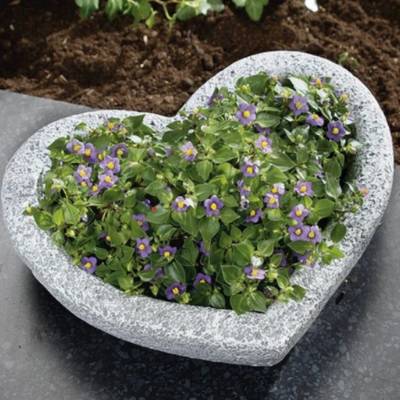 Latexform Latexgießform Gartenschale Mold 