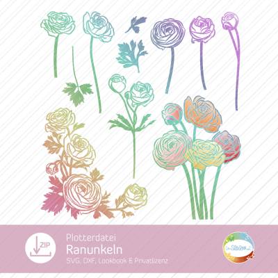 Plotterdatei Ranunkeln, SVG Blumen Ranunkel, Blüte, als Ein- und Mehrfarbenplott, mit Eckmotiv, Design von senSEASONal