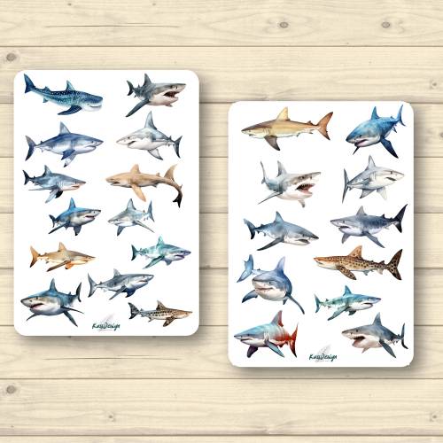 Sticker Set Haie