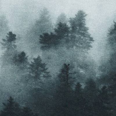Rest: 1 x Panel French Terry Gloomy Hills Hazy Shades by Thorsten Berger Oeko-Tex(1St.18,-€)