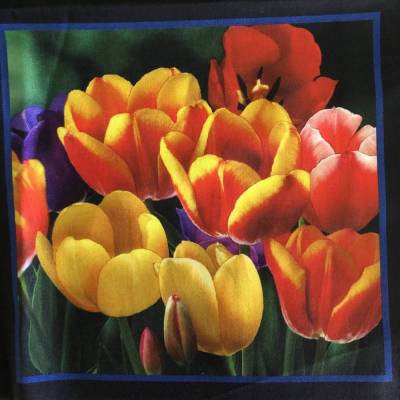 Baumwollstoff Motiv Tulpen